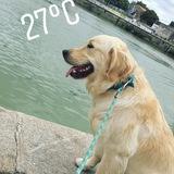 Mila avatar