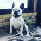 Lilou  avatar