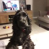 Olly  avatar