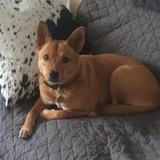 Loki avatar