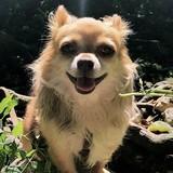Hyvi avatar
