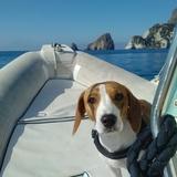 Benji avatar