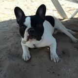 Jaxson avatar