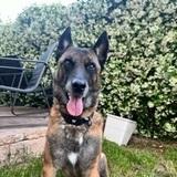 Xena et Kyna avatar