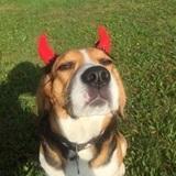 Milka avatar
