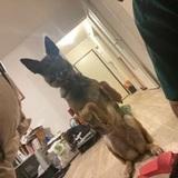 Lyah avatar