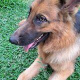 Bella avatar