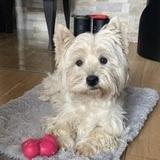 Olanne  avatar