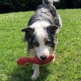 Riley avatar