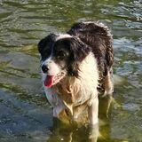 BELLA avatar