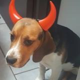 Patapouf avatar