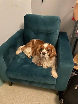 Mon activité préférée