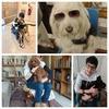 Pascaline: Grands chiens petits chiots tout et tant pour eux