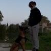 Shana: Promeneuse de chiens 