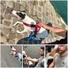 Théophile : Dog care et activités canines sur Paris et alentours