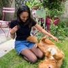 lyna: Dog sitteuse 