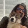 Melinda: Dog sitter attentionnée et toujours disponible 