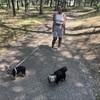 Alizée: Super pet-sitter !