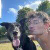 William: Heureux de m’occuper d’animaux et de vous rendre service 