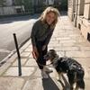 Alice: 🐕 garde confiante et bienveillante, Educatrice/comportementaliste Animautopia formée 