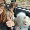 Lucille: Passionnée d’animaux pour vos petites bêtes