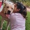 Kavya: Purrr-fect dog sitter?