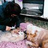 Carole: A volonté : Des balades, des câlins et des copains canins !