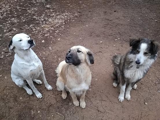 Une partie de la famille 