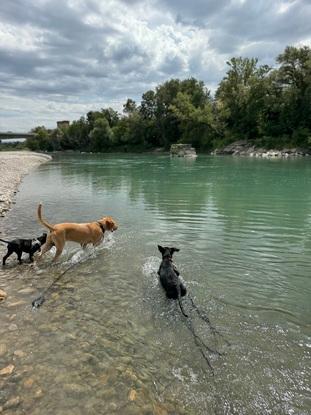 Baignade rivière