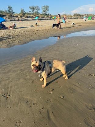 Plage