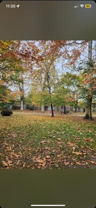 Le parc à côté de la maisn on