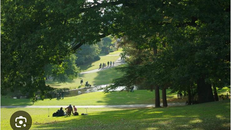 Quelques photos du parc de proce