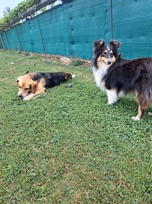 Tia et Rio