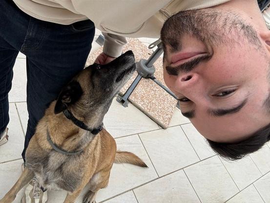 Chien gardé en 2023 (Rime - Malinois de 3 ans)