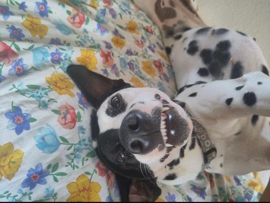 Utaïa et son magnifique sourire