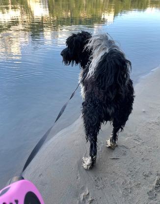 Jules en balade le long du Rhône 