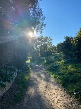 Un parc (immense) près de chez moi