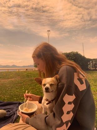 Le chien que j’ai gardé ! Une petite boule d’amour