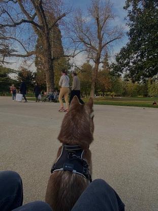 Promenade au jardin public !