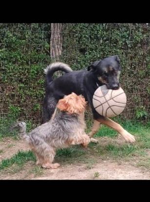Arko & Goufi