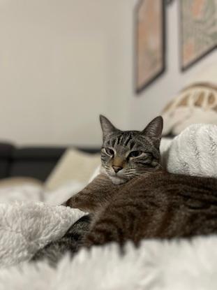 Malo qui fait la sieste