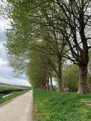 Promenade à la Prairie