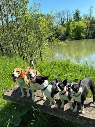 Photo de groupe en balade