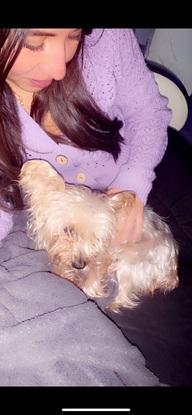 Queenie