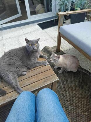 Roudoudou et Satsuki