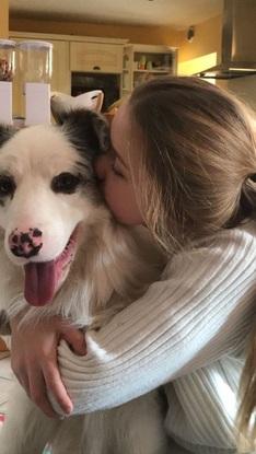 Le chien de mes parents