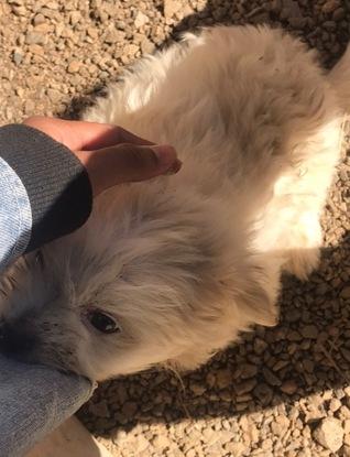 J’ai adoré m’occuper d’elle, elle était trop chouu