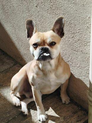 Ruben