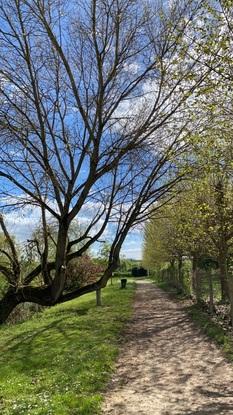 Promenade proche de chez moi 
