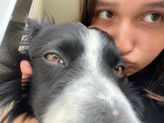 Mon chien et moi